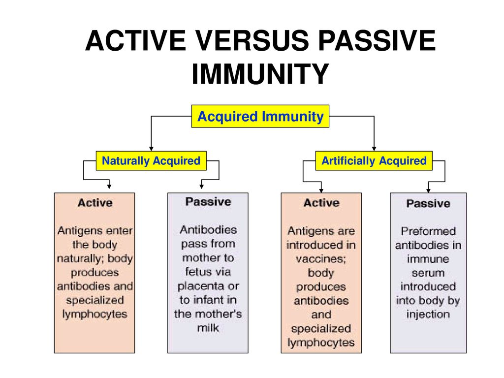 Cell mediated immunity ppt download