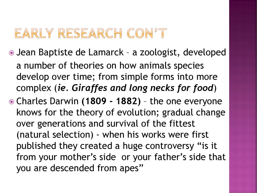 The Human Species HUMAN EVOLUTION - the process by which human beings