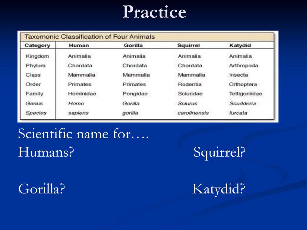 Classification. - ppt download