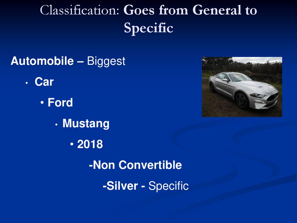 Classification Ppt Download classification-ppt-download