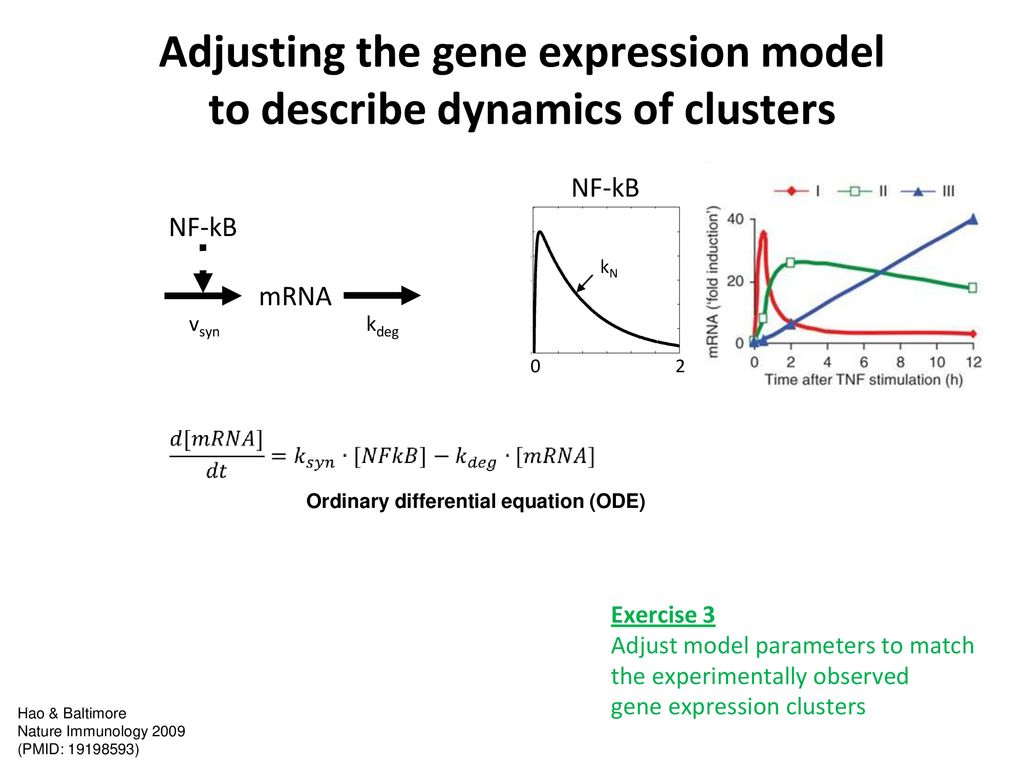 Protein Biochemistry & Bioinformatics Dynamic modeling - ppt download