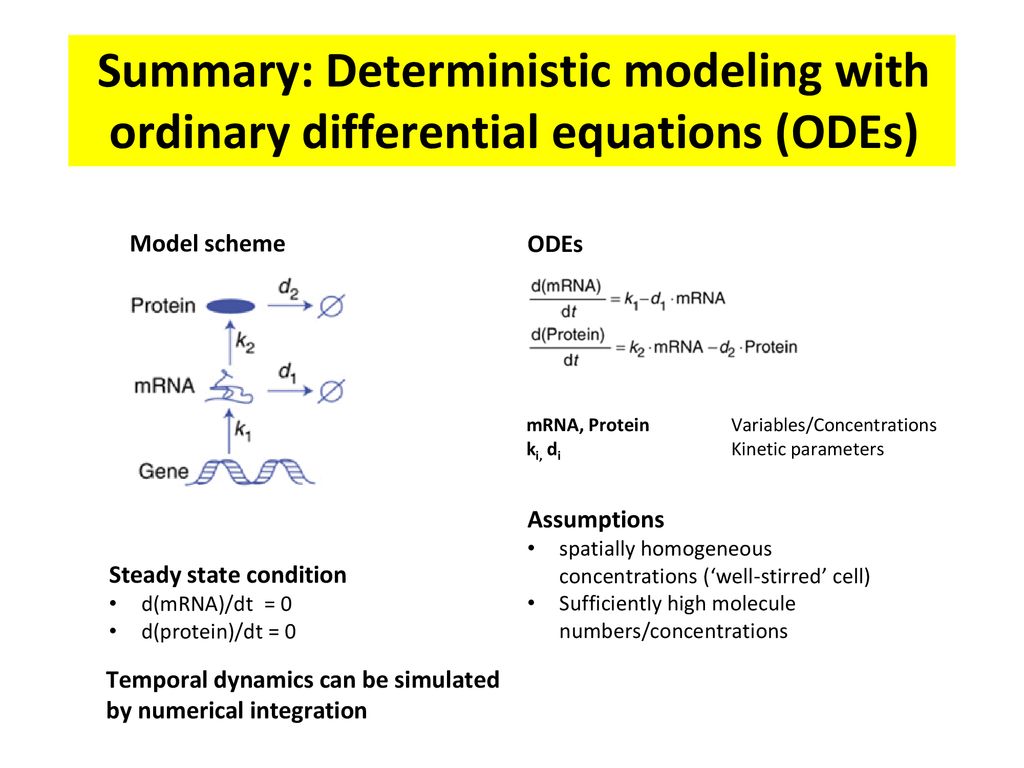Protein biochemistry bioinformatics dynamic modeling ppt download