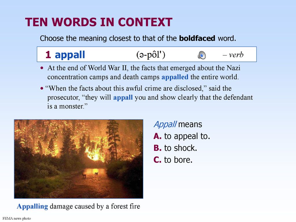 Second Edition BETH JOHNSON JANET M. GOLDSTEIN - ppt download