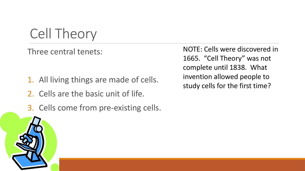 Cell structures cell transport and immune system ppt download