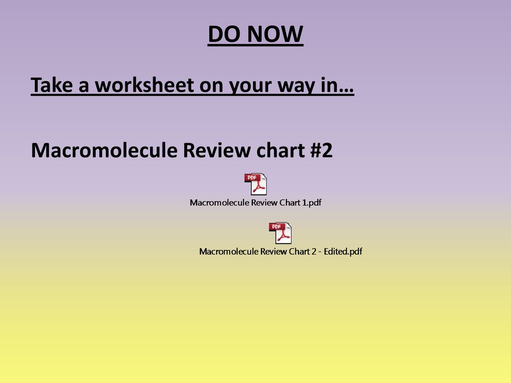 Macromolecule Chart Pdf