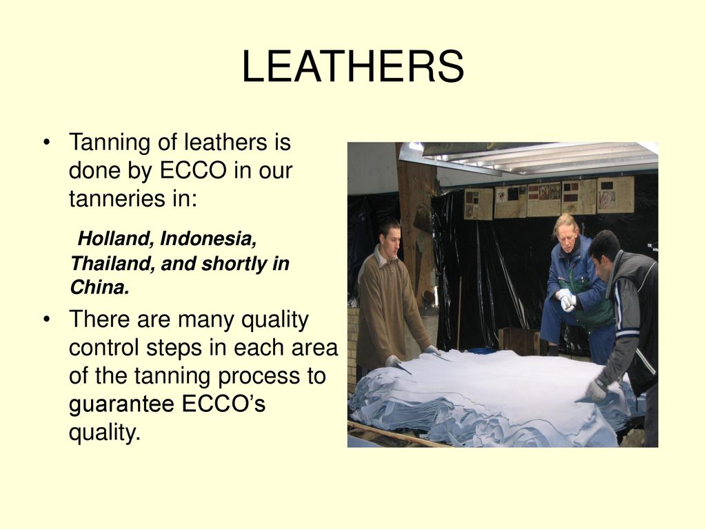 ECCO Product Knowledge. From the Raw Hide to the Finished Product. - ppt  download