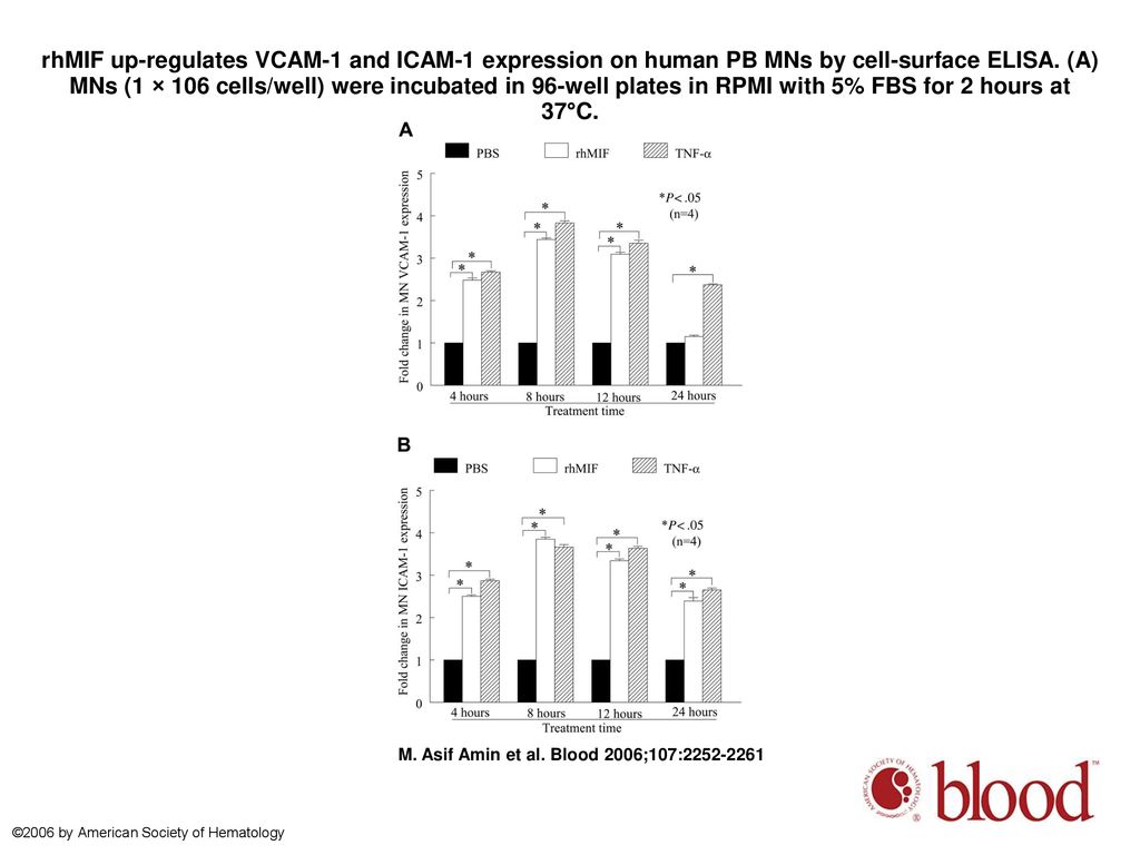 rhMIF up-regulates VCAM-1 and ICAM-1 expression on human PB MNs by cell-surface ELISA. (A) MNs (1 × 106 cells/well) were incubated in 96-well plates in RPMI with 5% FBS for 2 hours at 37°C.