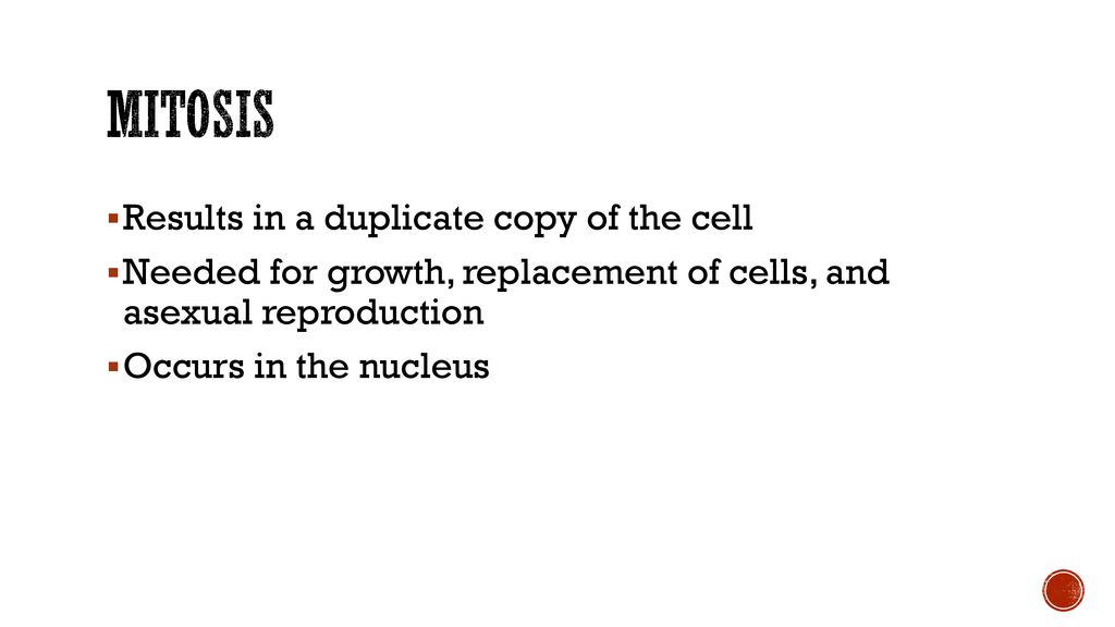 Mitosis Results in a duplicate copy of the cell