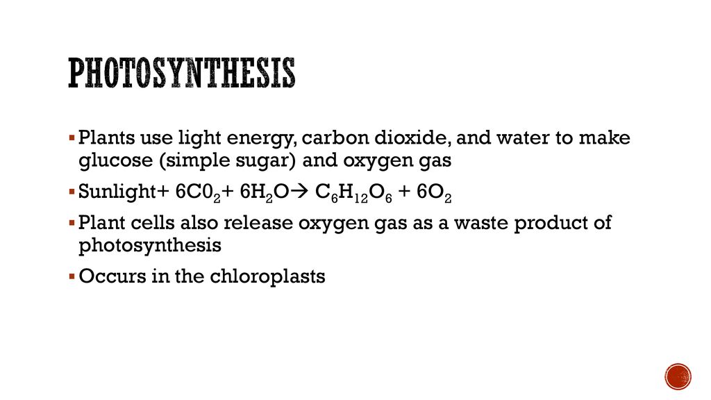 photosynthesis Plants use light energy, carbon dioxide, and water to make glucose (simple sugar) and oxygen gas.