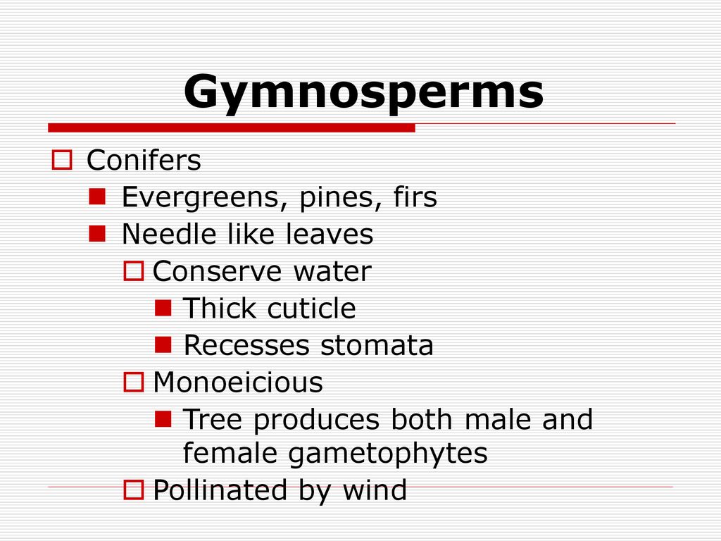 Plant Evolution Chapter Ppt Download