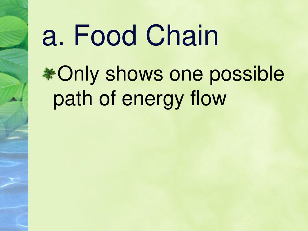 I What is Ecology ppt download Biology Diagrams