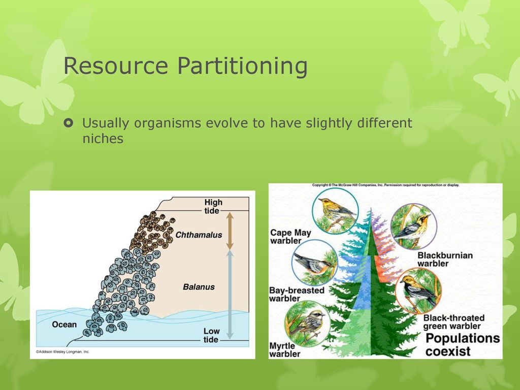 Ecology. ppt download