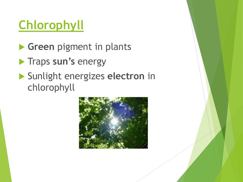  ppt download
