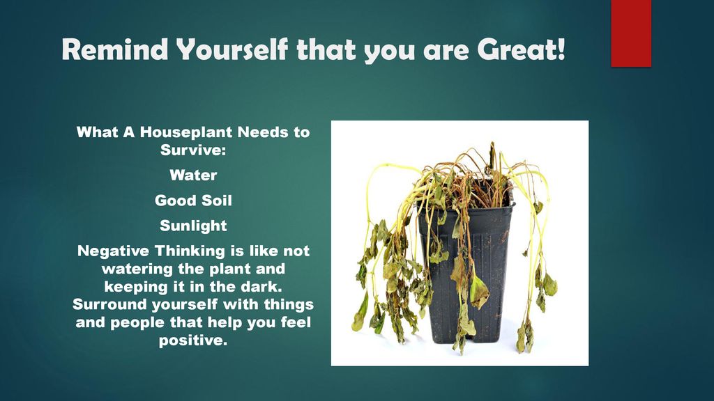 Remind Yourself that you are Great!