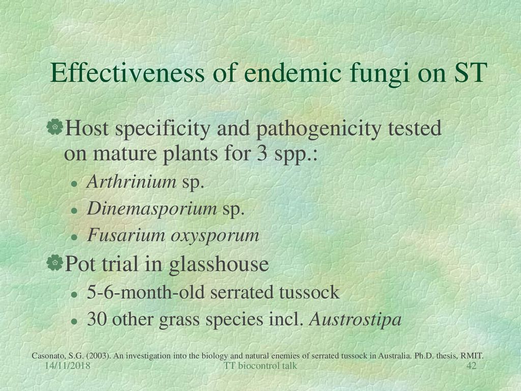 Effectiveness of endemic fungi on ST