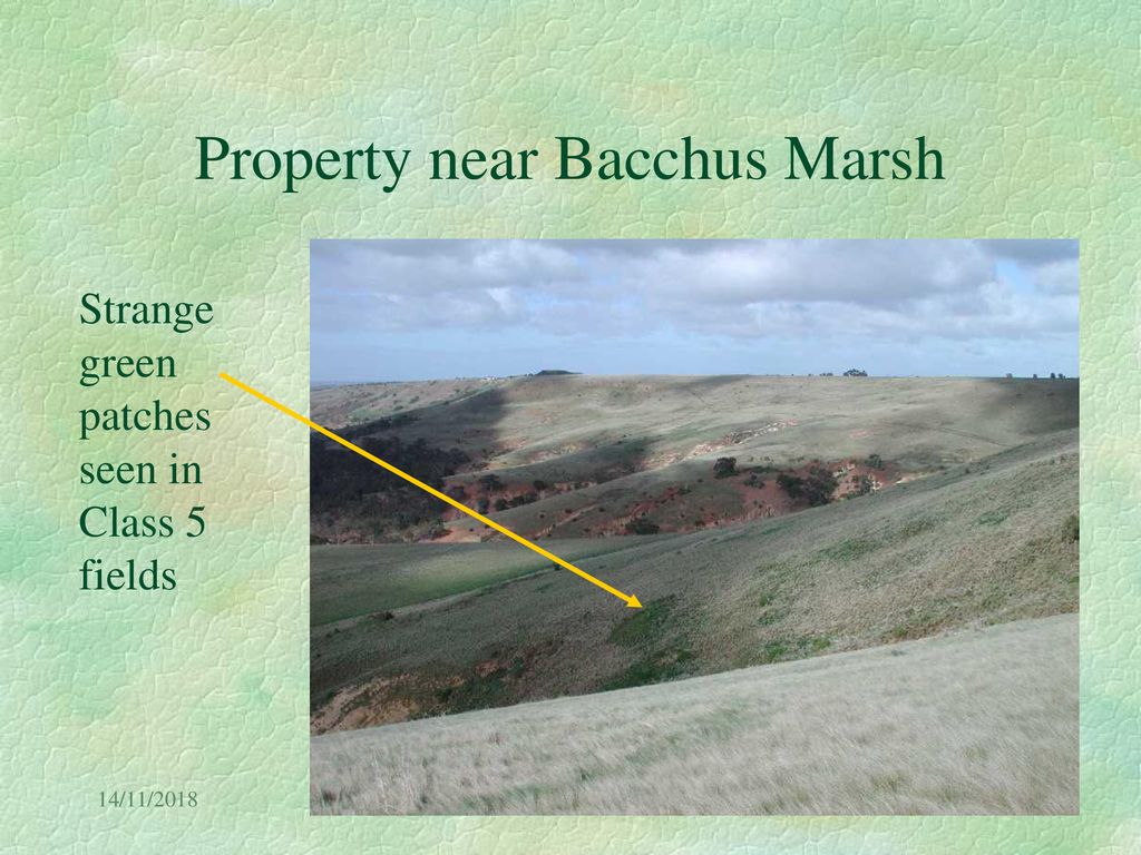 Property near Bacchus Marsh