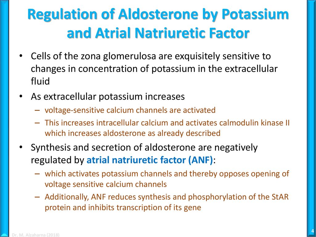 Regulation of Aldosterone by Potassium and Atrial Natriuretic Factor