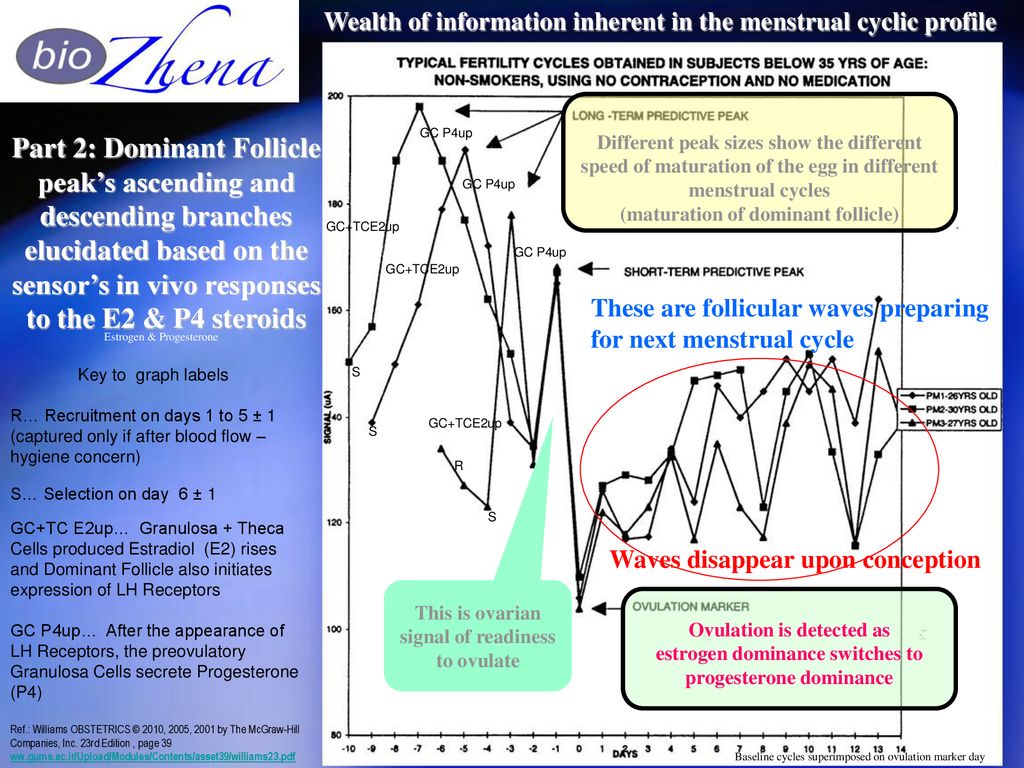 What Estradiol Level Indicates Ovulation What Estradiol Level Indicates Ovulation