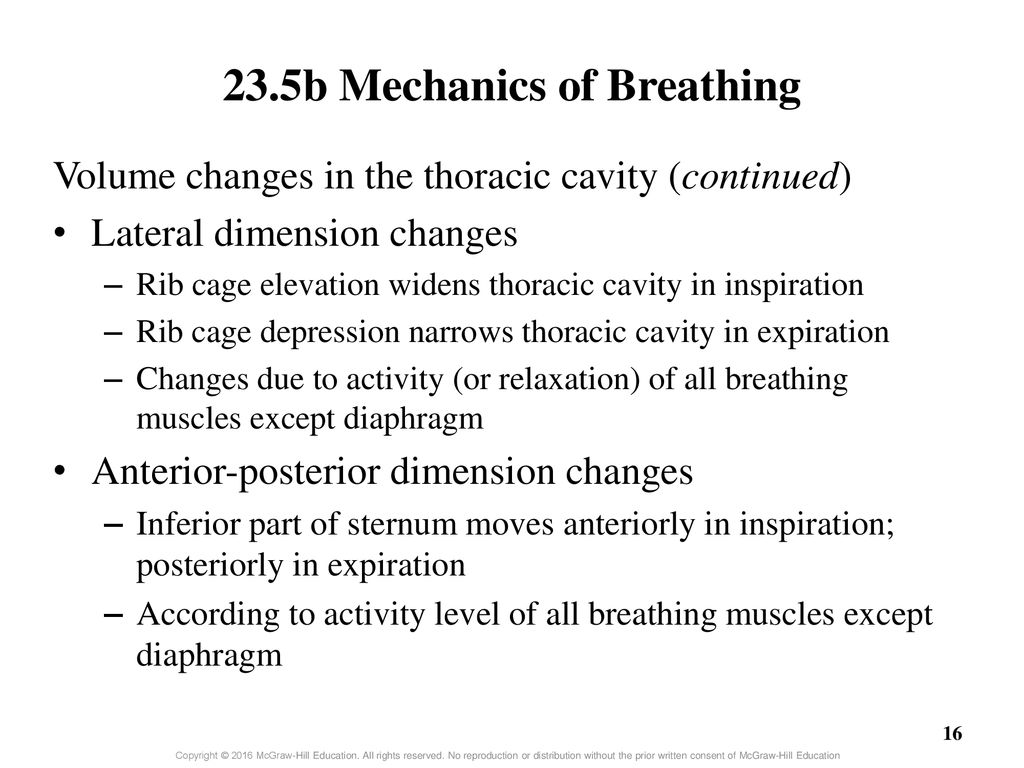 Chapter 23 - Part 2 Lecture Outline - ppt download