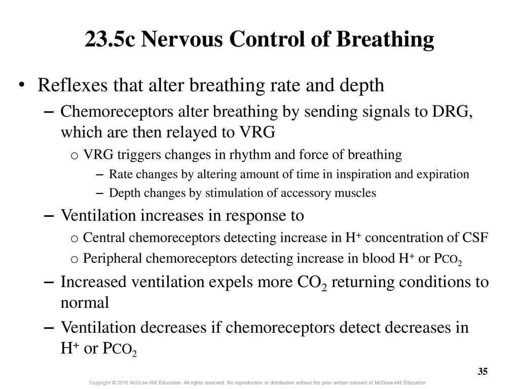 Chapter 23 - Part 2 Lecture Outline - ppt download