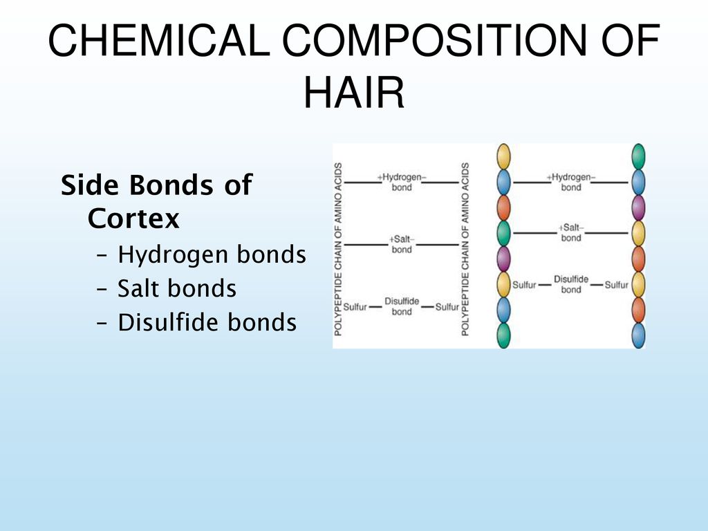 The key to developing consumer relevant hair care formulations for hair  strengthening  Croda Personal Care