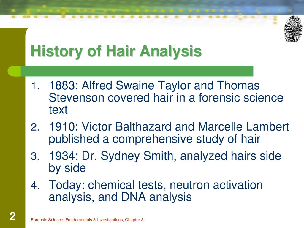 Identify the various parts of a hair - ppt download