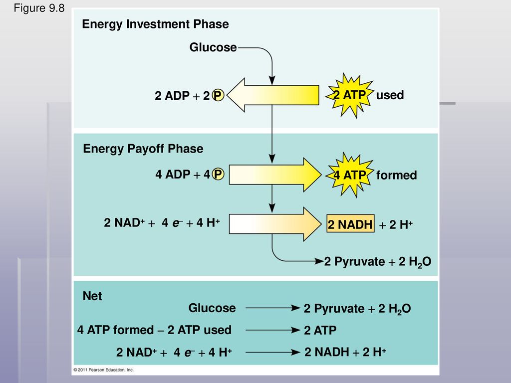 Energy Investment Phase