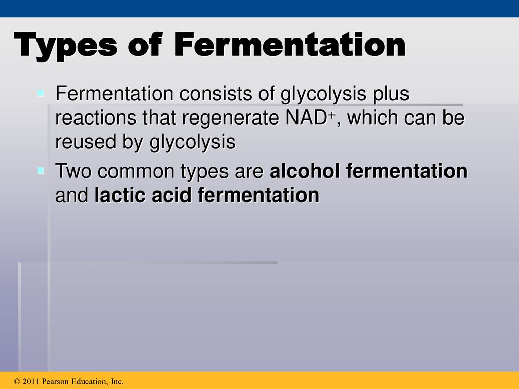 Types of Fermentation Fermentation consists of glycolysis plus reactions that regenerate NAD+, which can be reused by glycolysis.