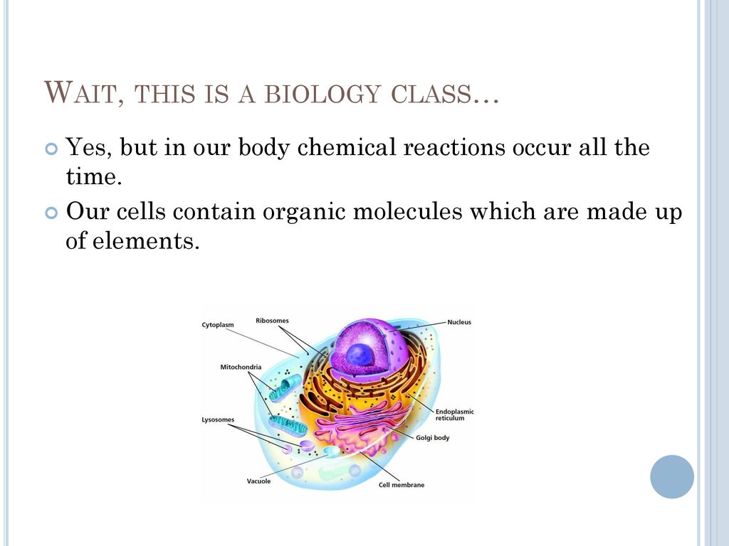 Introduction to biochemistry ppt download