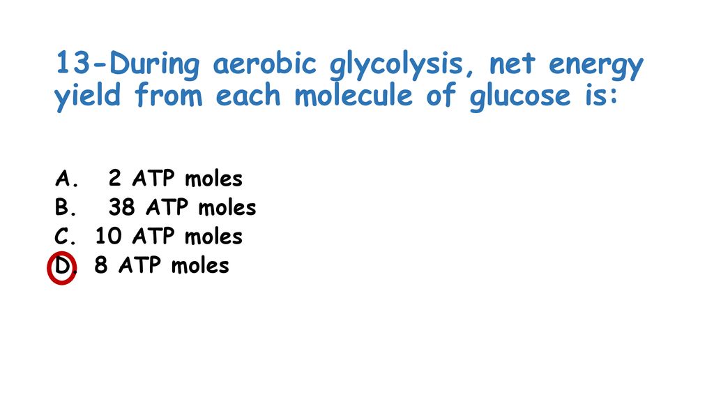 Carbohydrates Metabolism Ppt Download carbohydrates-metabolism-ppt-download