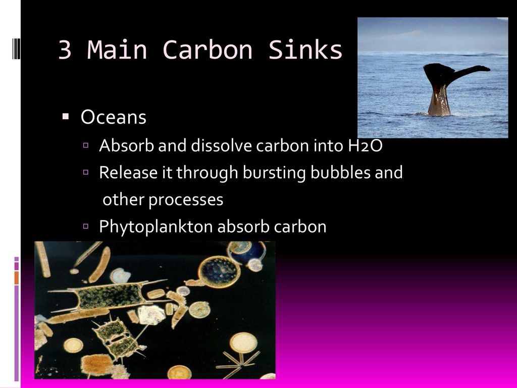 What Happens To Carbon When It Is Not Moving In The Carbon