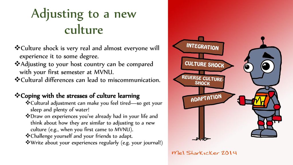 how to adapt to a new culture