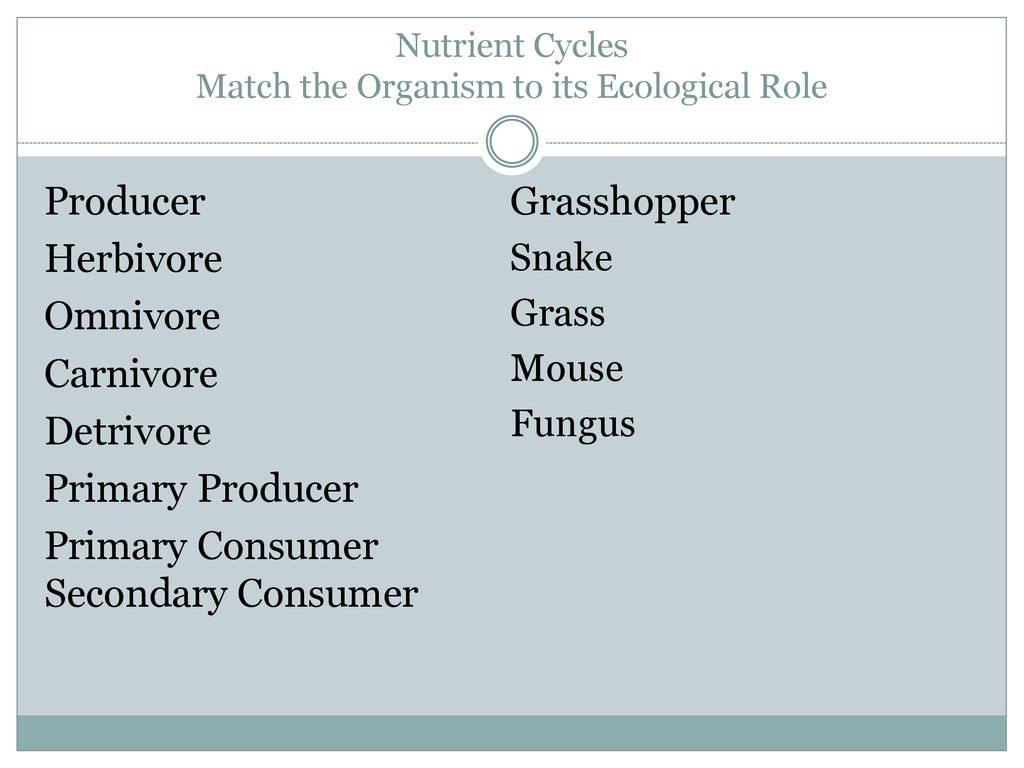 Honors Biology 1st Semester Content Review - ppt download