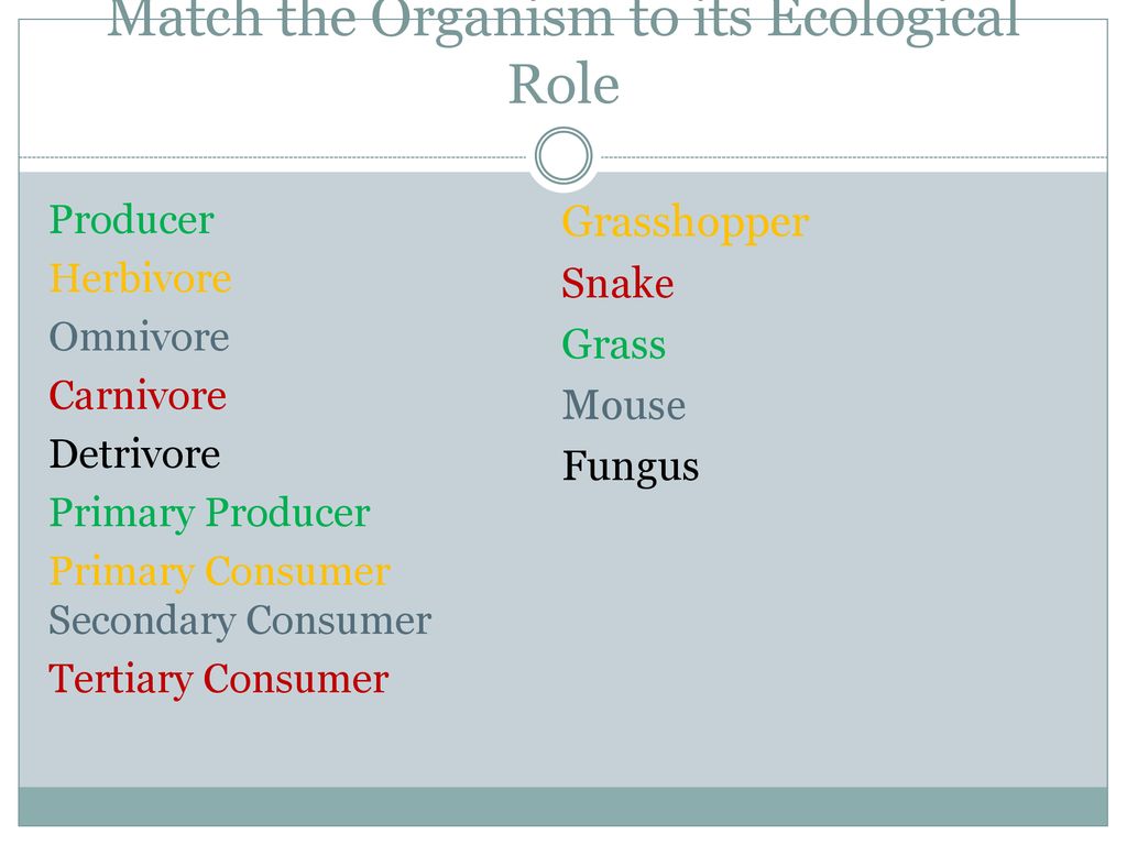 Honors Biology 1st Semester Content Review - ppt download