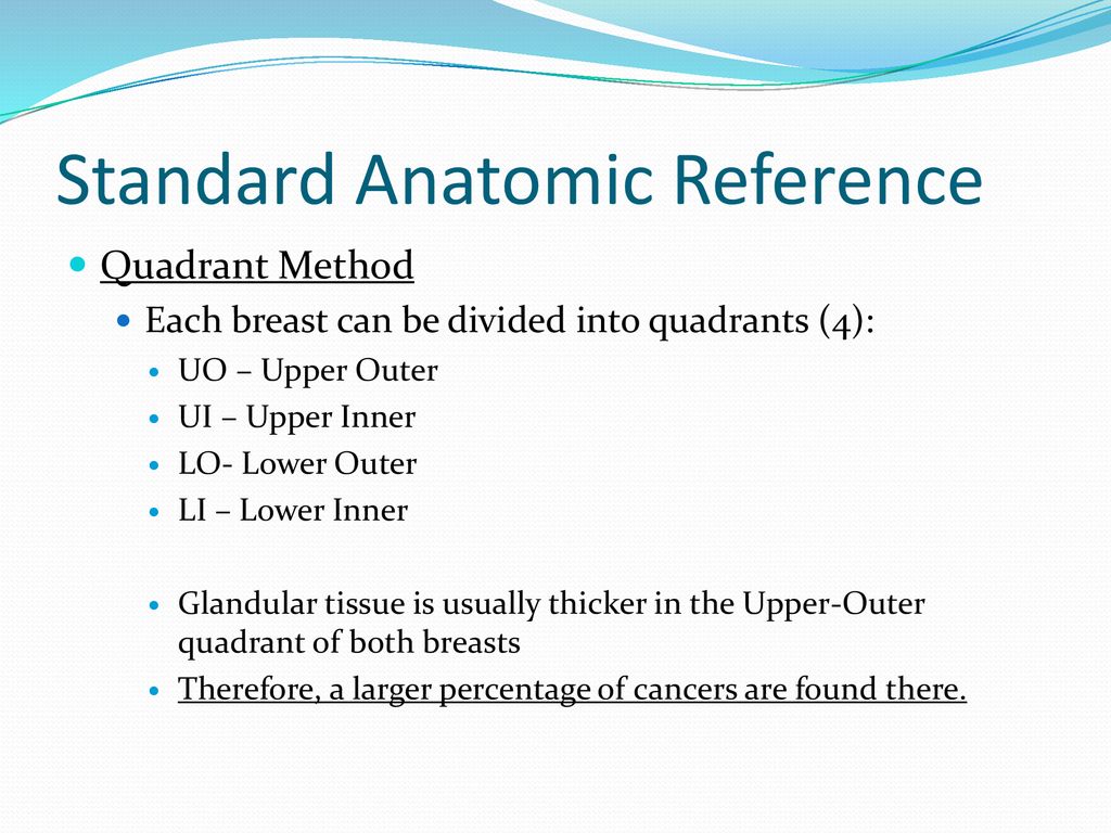 Standard Anatomic Reference