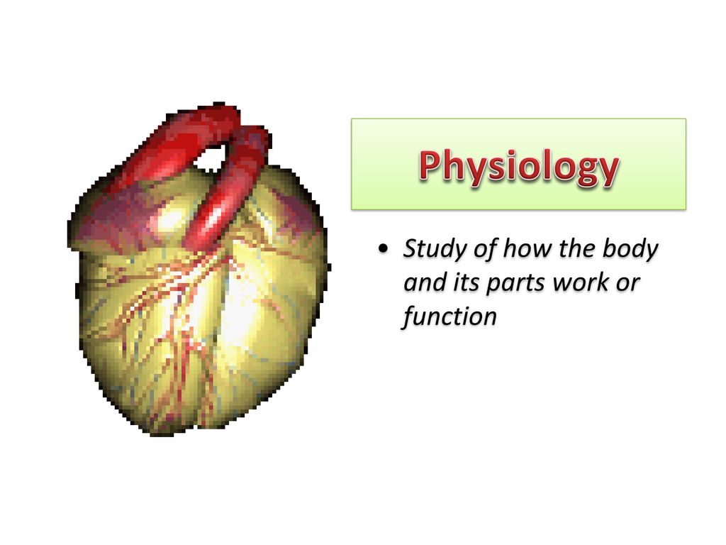 Course Outcomes On completion of the weekโs activity, the students ... Biology Diagrams