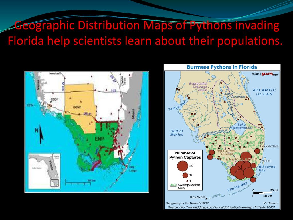 Populations Dynamics As pictures load, instructor can discuss sea otter ...