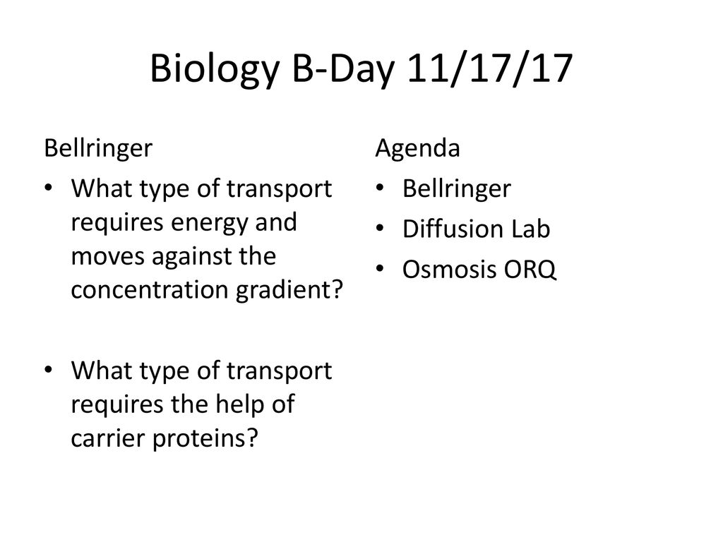 Biology B-Day 11/9/17 Bellringer - Ppt Download