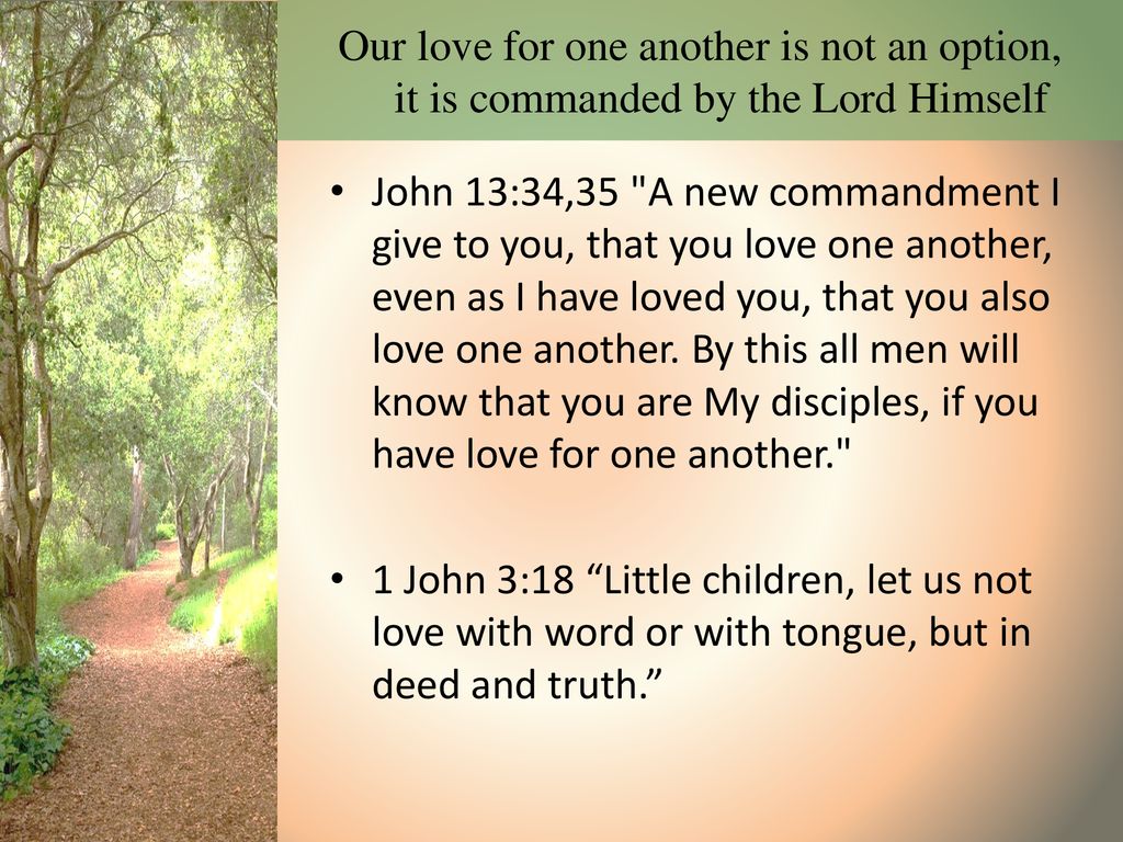 Ephesians Walk Worthy of Your Calling ppt download
