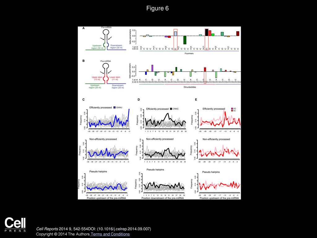 Figure 6 Regulatory Sequence Motifs in the miRNA Flanking Regions