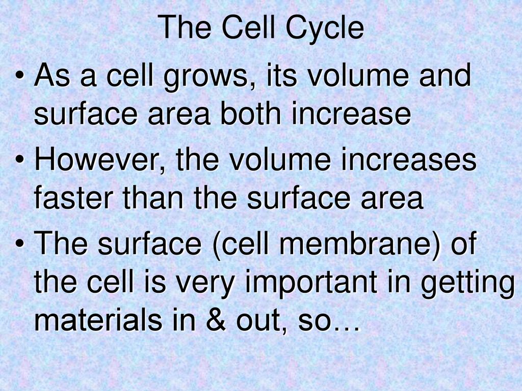 The Cell Cycle As a cell grows, its volume and surface area both increase. However, the volume increases faster than the surface area.