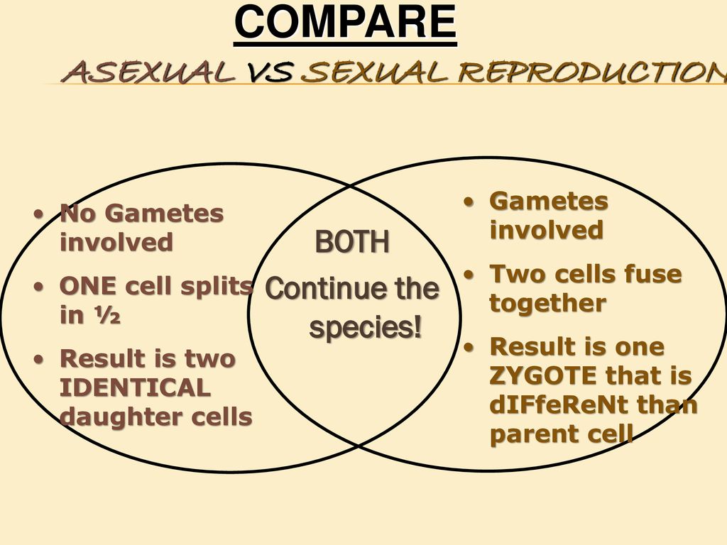 ISN Page 137 DID YOU KNOW Standard 7 Reproduction of Life TOPIC Biology Diagrams
