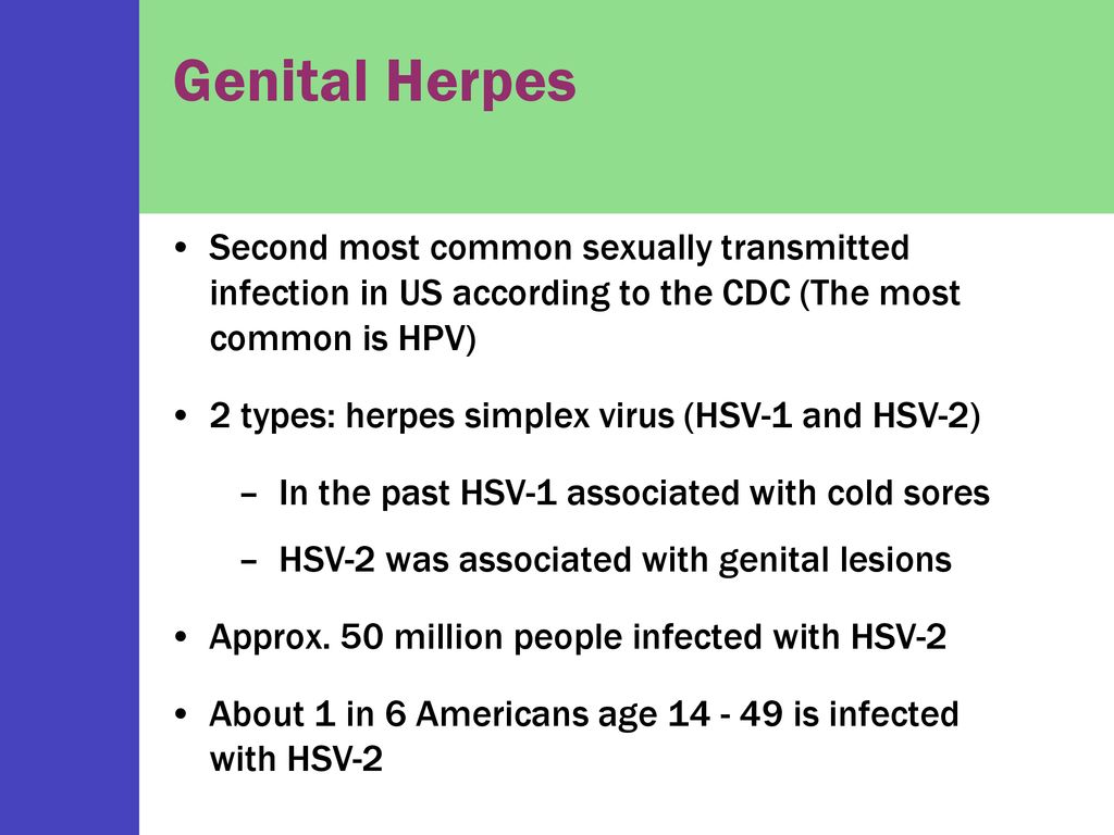 hpv ed herpes