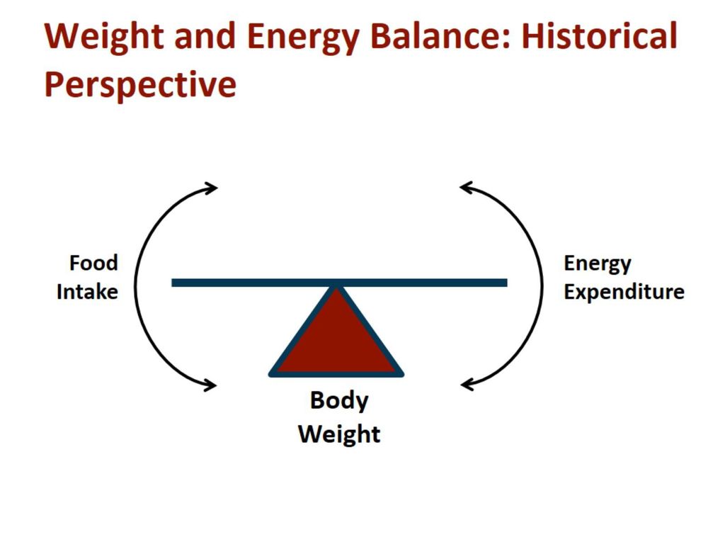 Weight and Energy Balance: Historical Perspective