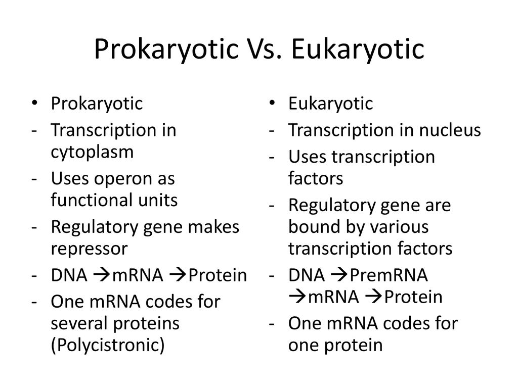 Regulation of Gene Expression by Eukaryotes - ppt download