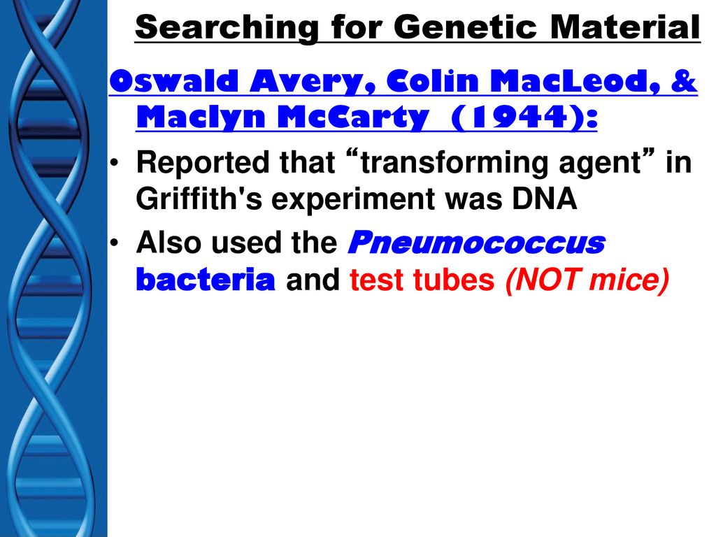 DNA: Deoxyribose Nucleic Acid The Genetic Material - ppt download