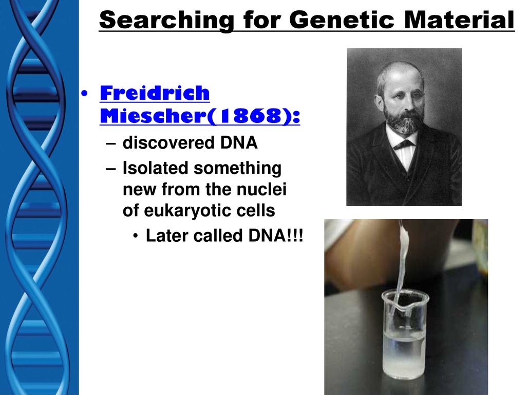 DNA: Deoxyribose Nucleic Acid The Genetic Material - ppt download