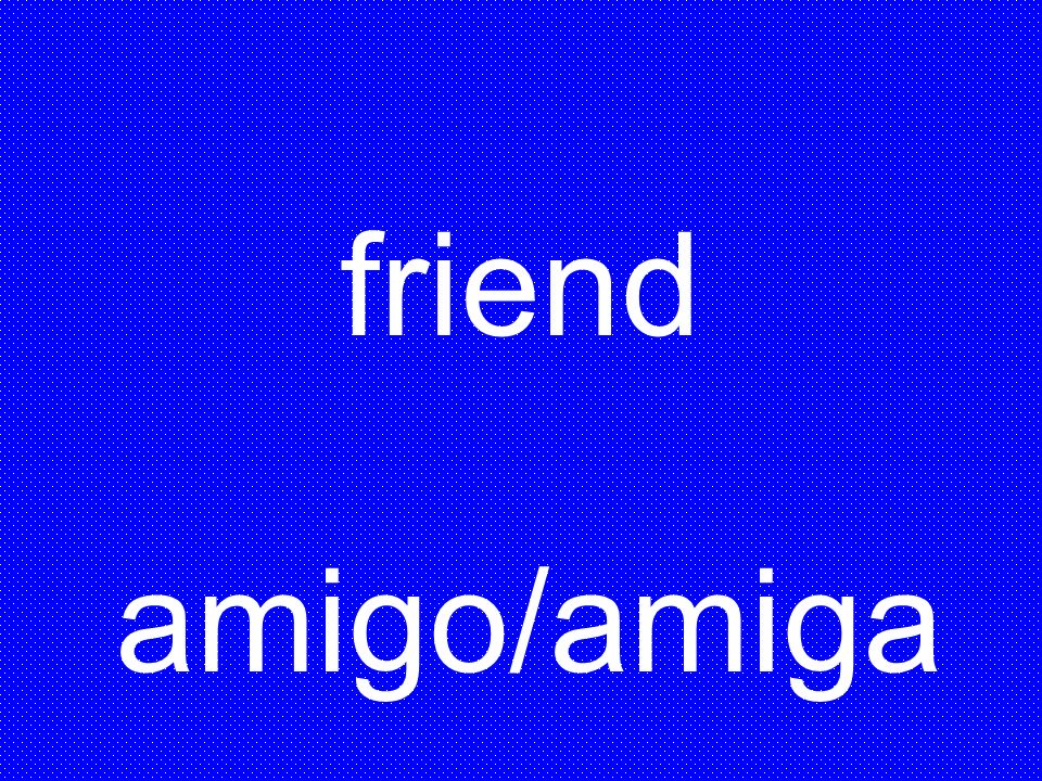 friend amigo/amiga