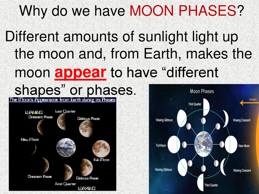 Moon Phases - BrainPOP