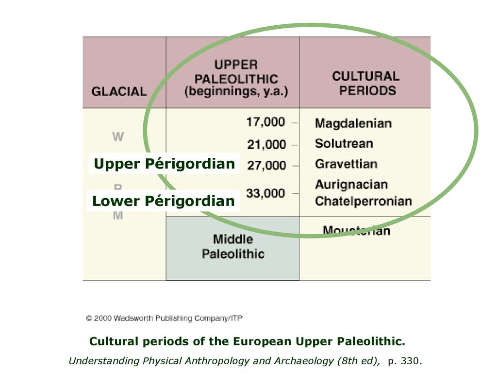 upper paleolithic culture